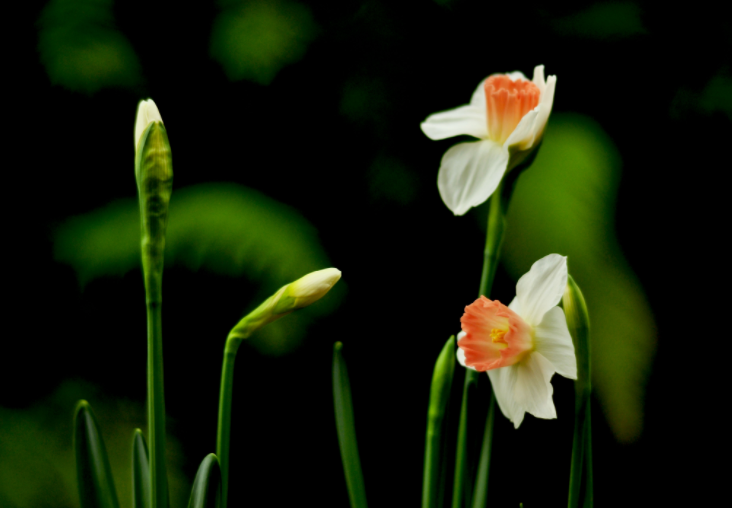 大家都做生態(tài)文明建設(shè)的實踐者、推動者（生態(tài)論苑）