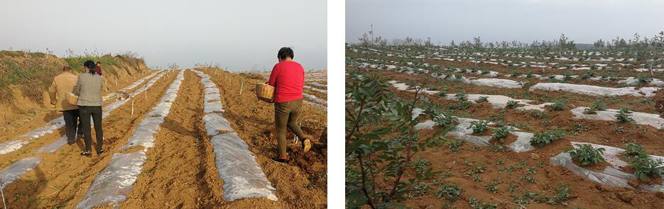 1590376930977208.jpg 1590376930977208.jpg